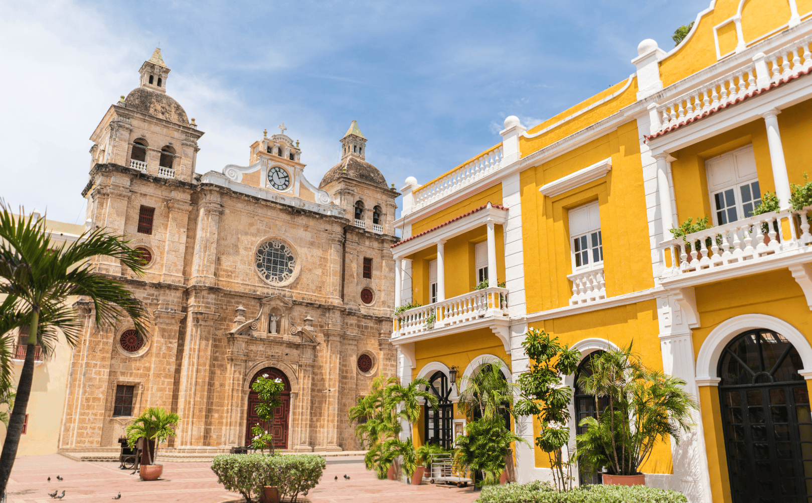 City Babyboom Surrogacy GPA Gestacion Subrogada Gestante Substituta Barriga de Aluguel México Colômbia CDMX Bogotá Mexique Colombie